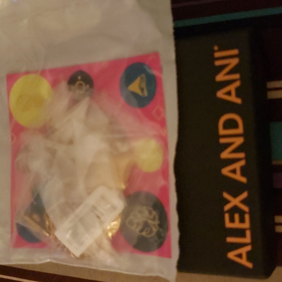 Alex and Ani Oasis bracelet Nwt - Picture 6 of 6